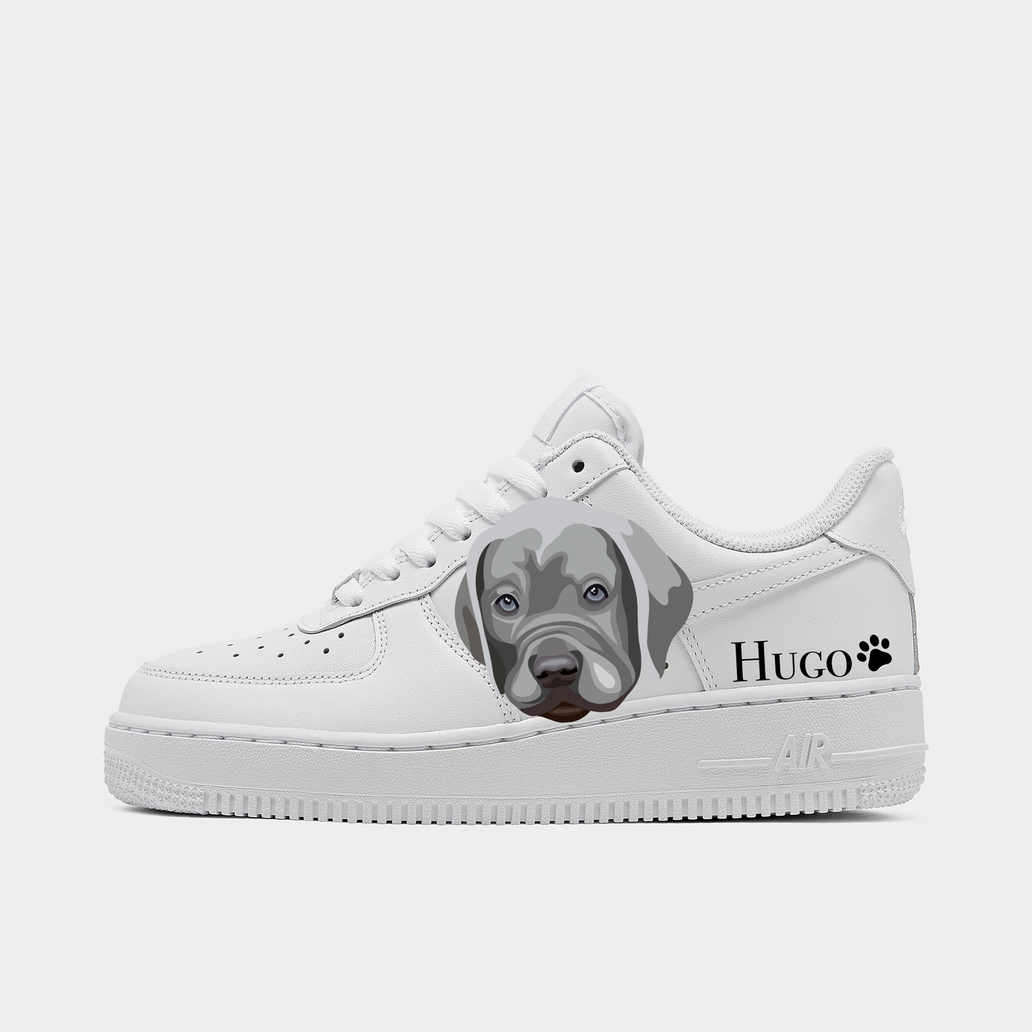 AF1 CUSTOM PET